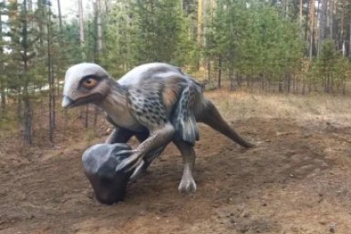 Скульптуры новых динозавров и носорога устанавливают в &quotДинолесе&quot под Читой администрации посёлка Новокручининский