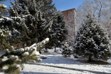 Зима Марина Кудрявцева, ИА UssurMedia.