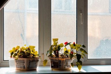 Окно Илья Аверьянов, ИА PrimaMedia.ru