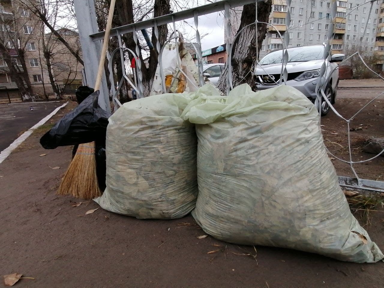Общегородской субботник пройдёт в Чите 17 октября